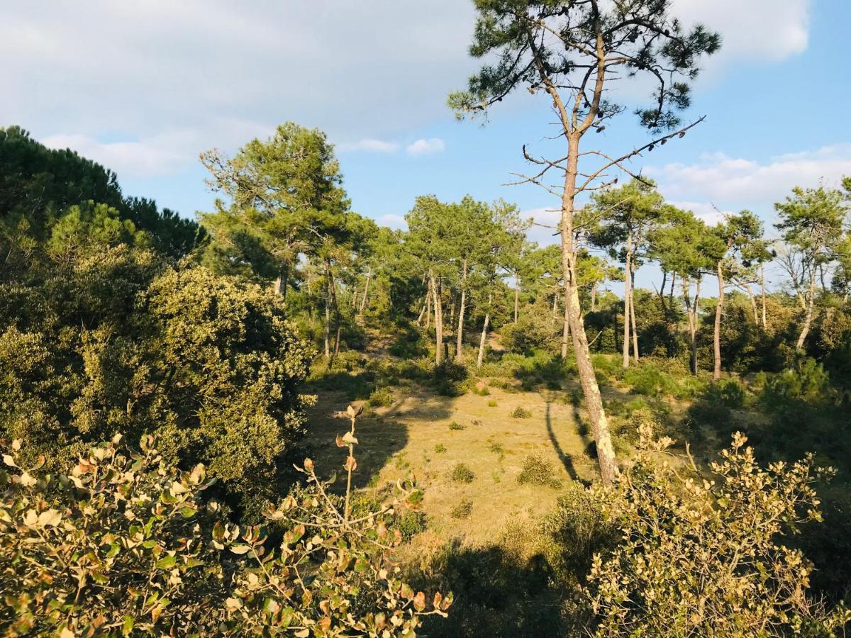 Maison des dunes, à 100m de la mer Saint-Hilaire-de-Riez Extérieur photo